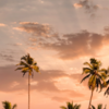 Planning A Trip To Kerala In Winter? 10 Places You Should Go To