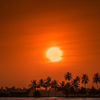Headed To Kochi In December? 10 Places To Add To Your Itinerary