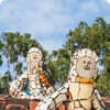 Rock Garden