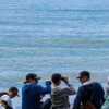 Whale-watching Destinations In India For An Unforgettable Experience With Your Kids 