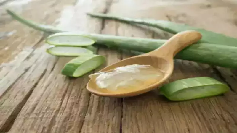 What are the most popular uses of aloe vera?
