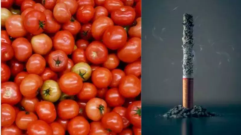 7 Foods high in nicotine that can curb the urge to smoke cigarettes