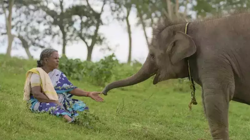 'The Elephant Whisperers' Bellie: 'Kartiki never asked me to act; she's like my daughter to me' - Exclusive