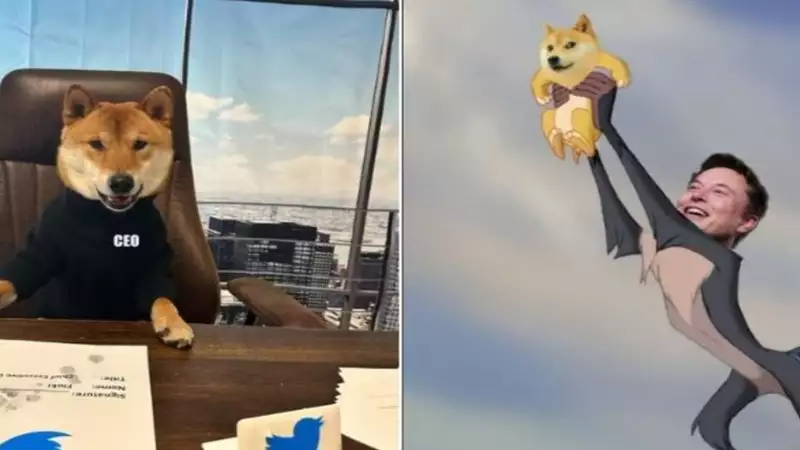‘Doge' meme replaces Twitter's blue bird logo