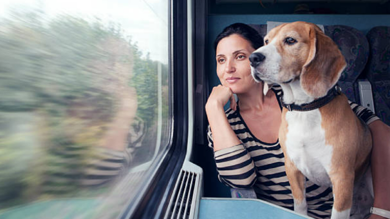 Railways To Begin Online Bookings For Pets On Trains