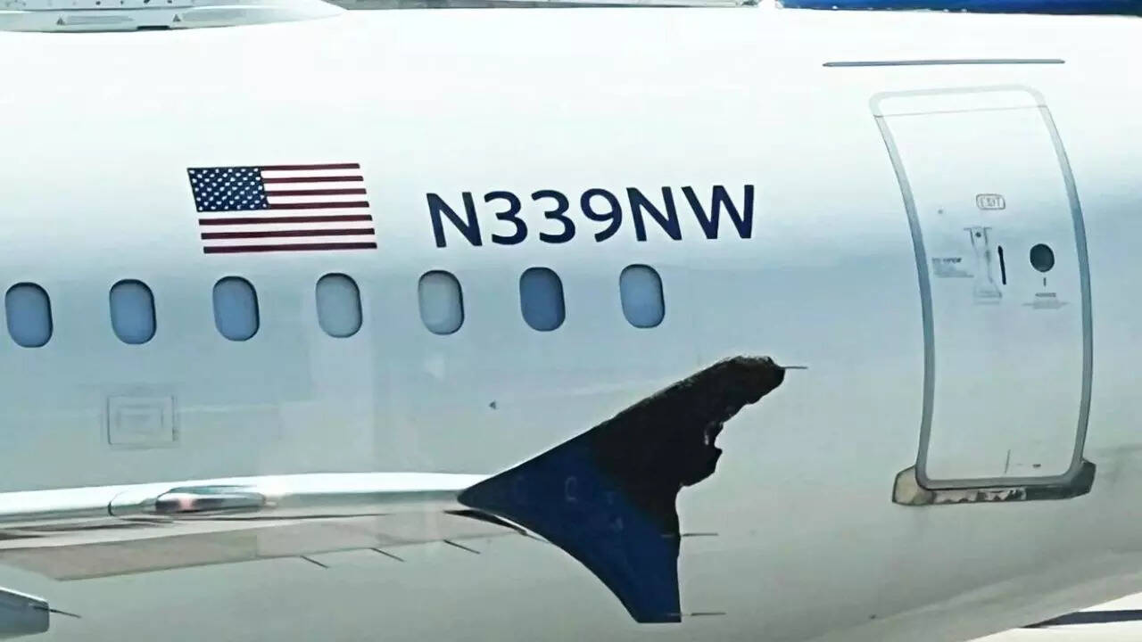 A swarm of bees delays boarding of a Delta plane at Houston Airport| Image credit: Robert Earl Glenn II/Facebook