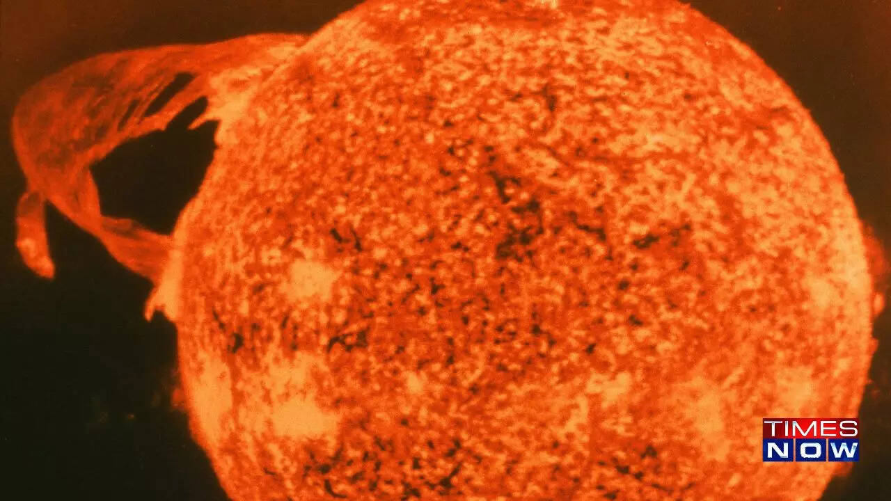 summit white white solar flare starfish metallic s