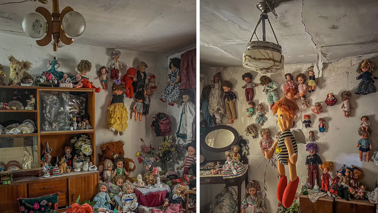 The house of store the lost dolls