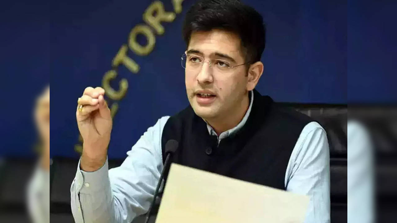 Raghav Chadha Reacts After Supreme Court Rules in Favour of Delhi Govt Over Power Tussle With Centre