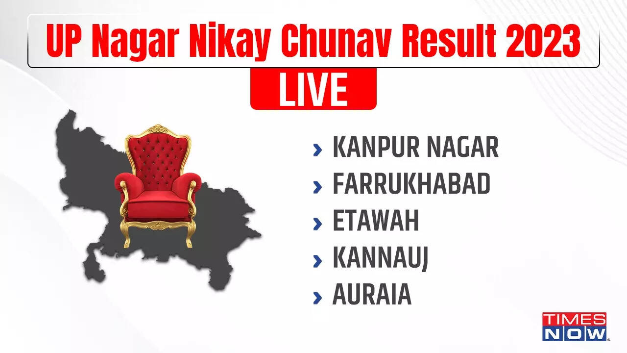 Up nikay chunav