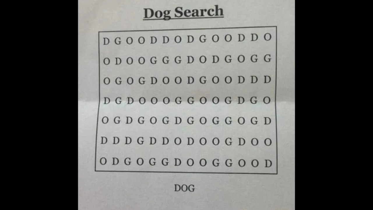 Dog Search