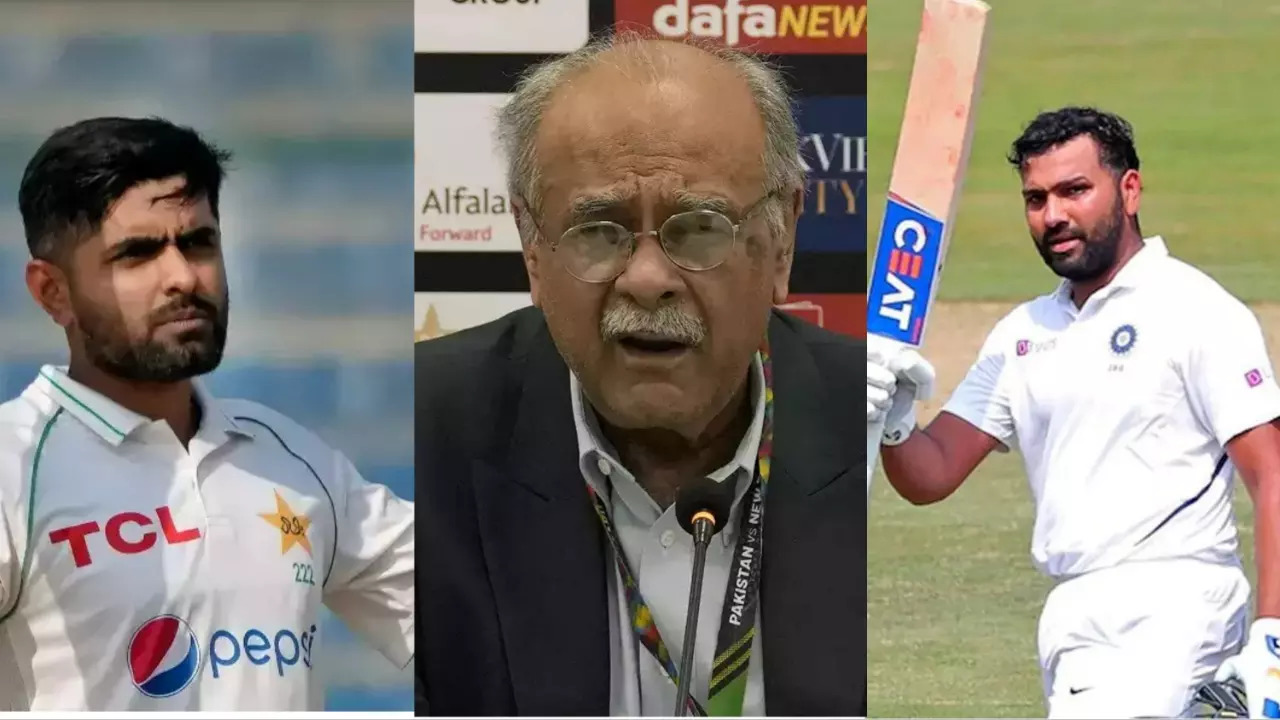 Najam Sethi India vs Pakistan Test Series