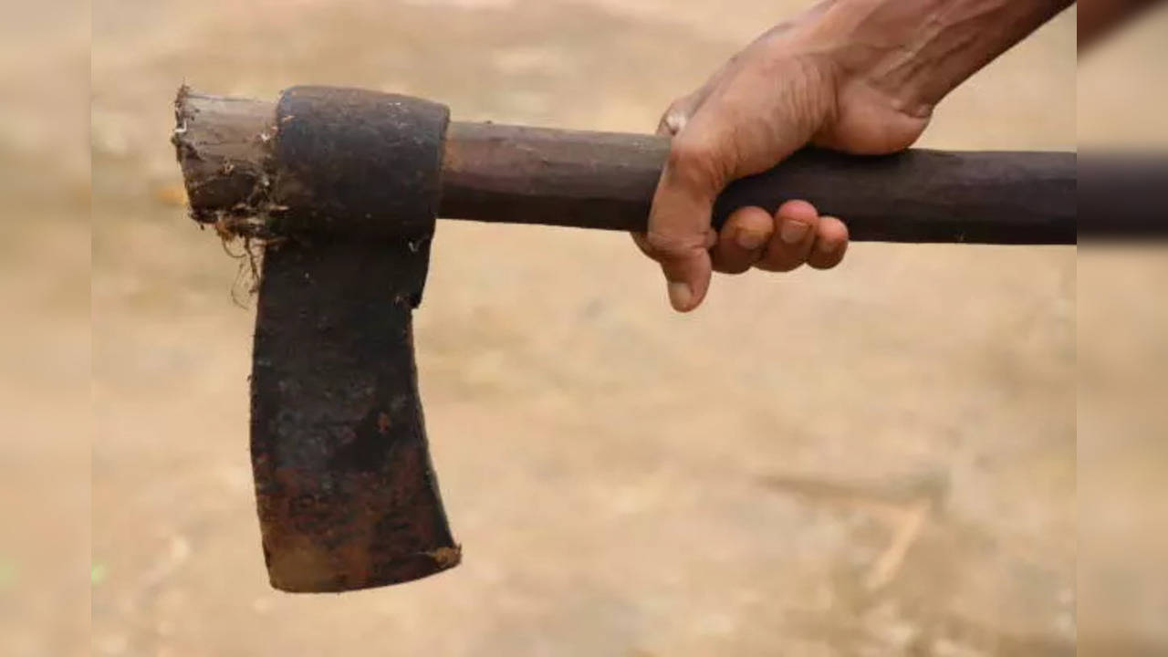 Rajasthan Shocker! Jalore Man Beheaded By 50-Year-Old Using Axe