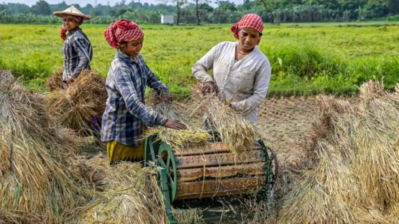 Farmers