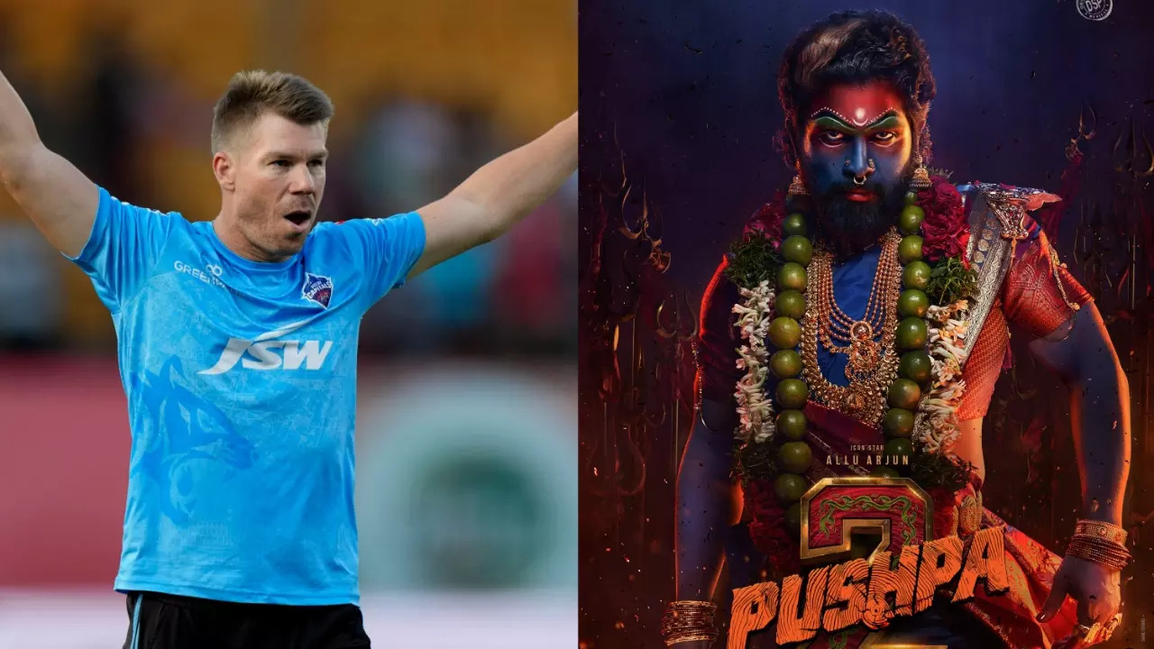 David Warner Cameo in Pushpa 2