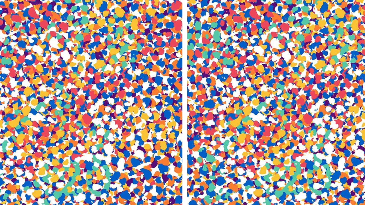 Internet Goes Crazy Over Optical Illusion With Hidden Number Only 10 Can Actually Spot It Internet Goes Crazy Over Optical Illusion With Hidden Number Only 10 Can Actually Spot It