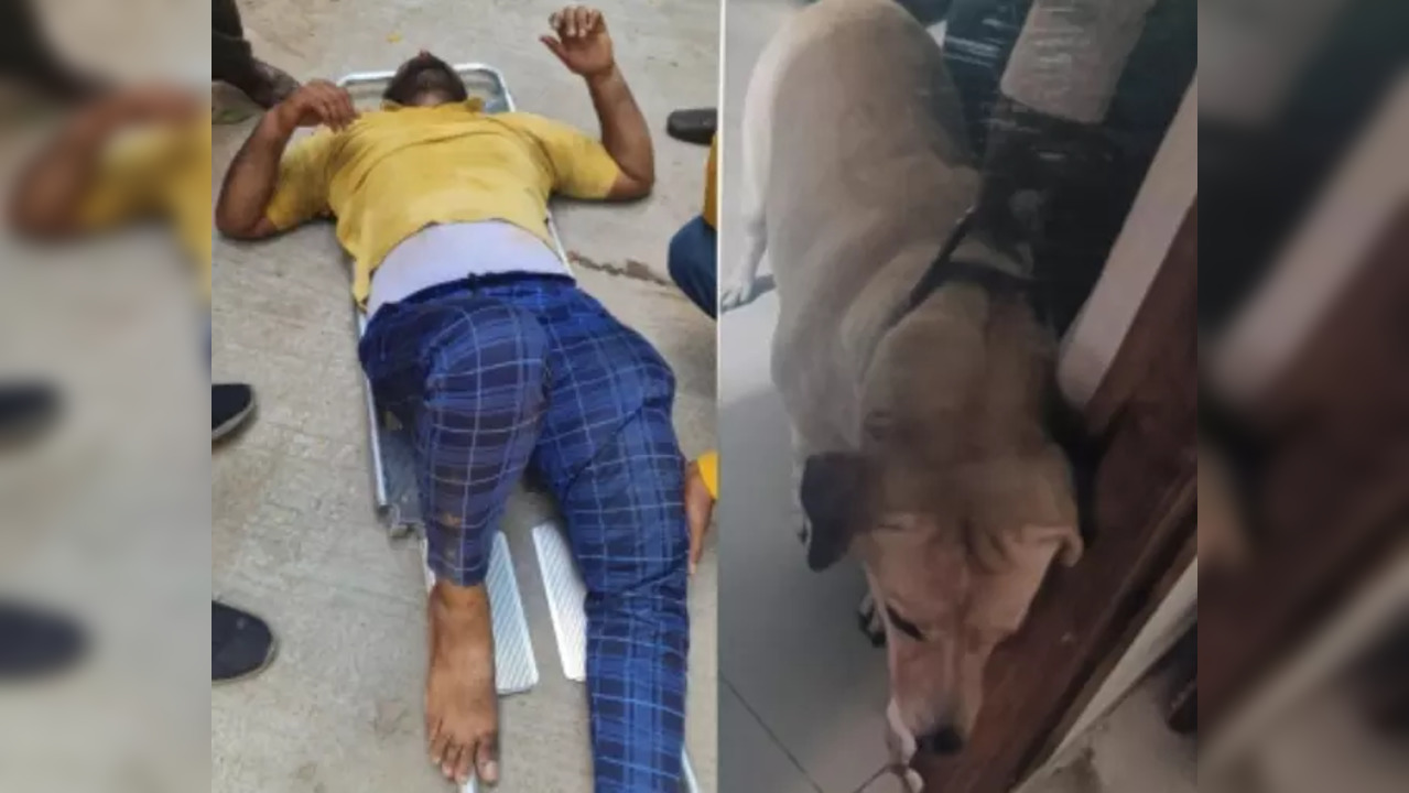 Hyderabad: Amazon Delivery Agent Jumps Off 3rd Floor to Escape Dog Attack, Sustains Multiple Fractures