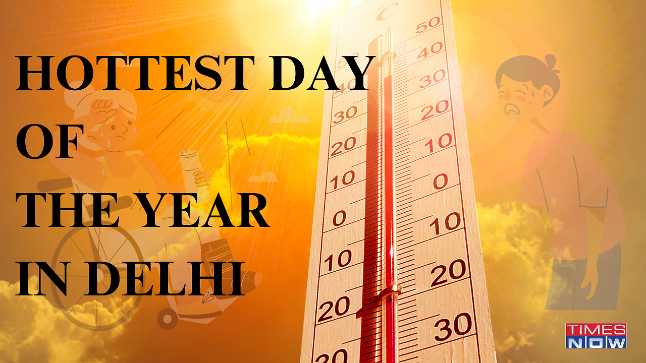 Hottest Day Of The Year For Delhi: Several Areas Record 46 Degrees, More in Offing - Vimarsana News