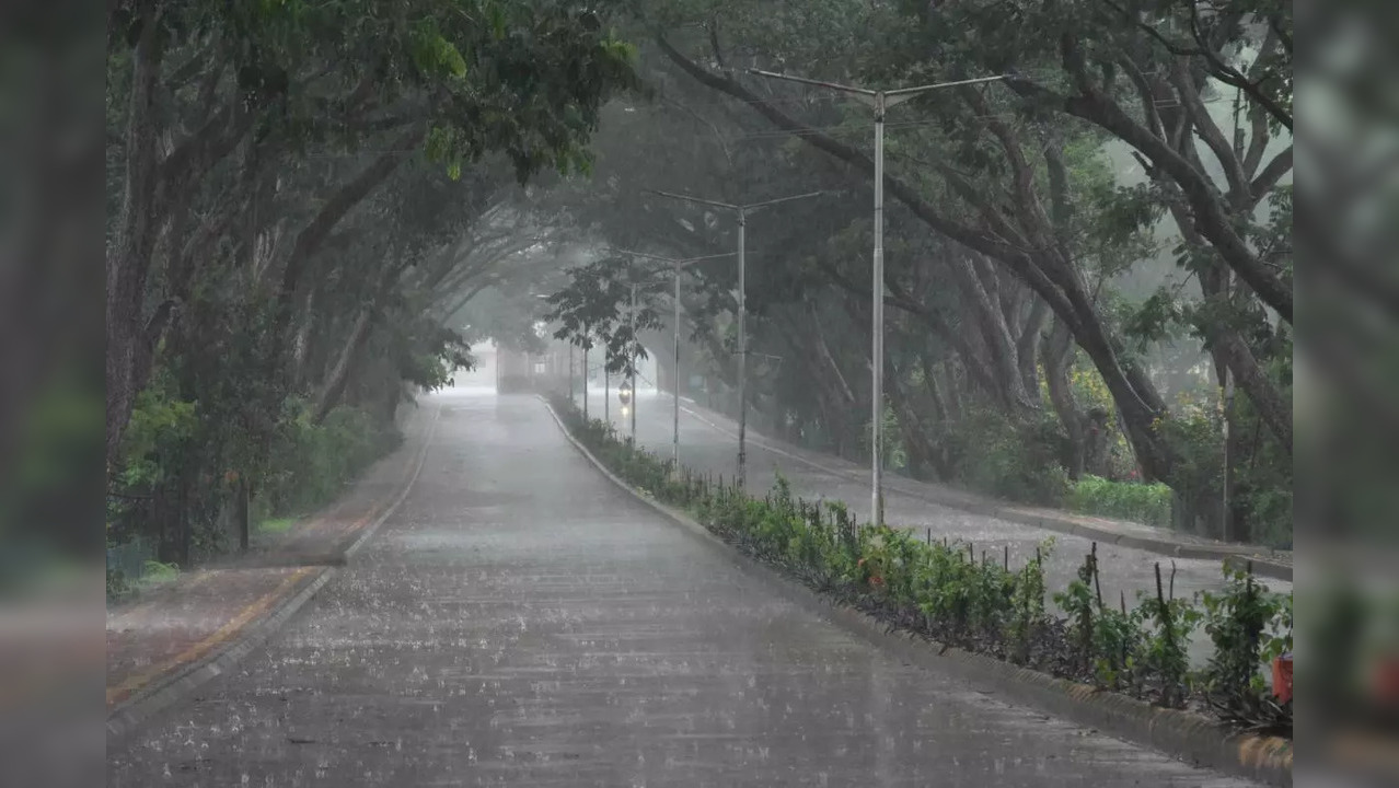 Karnataka Rains: High Alert Sounded in Chikkamagaluru, Kodagu Faces Landslide Threats - DEETS HERE