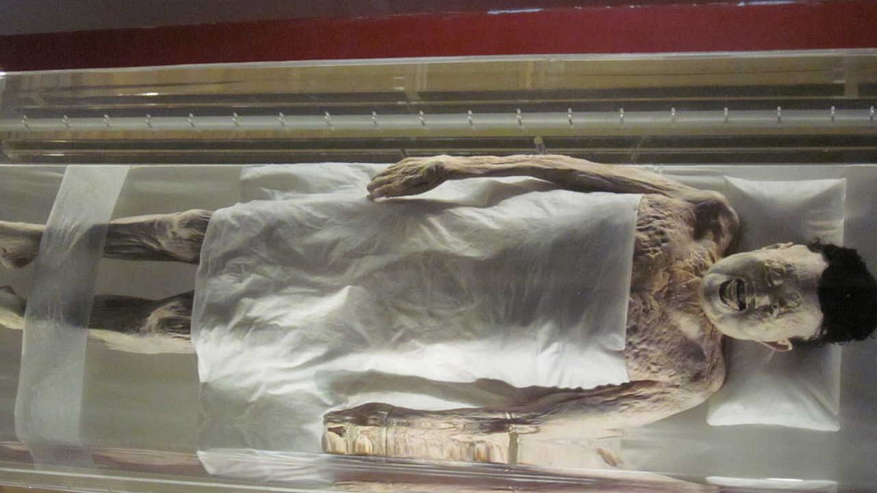 Lady of Dai mummy