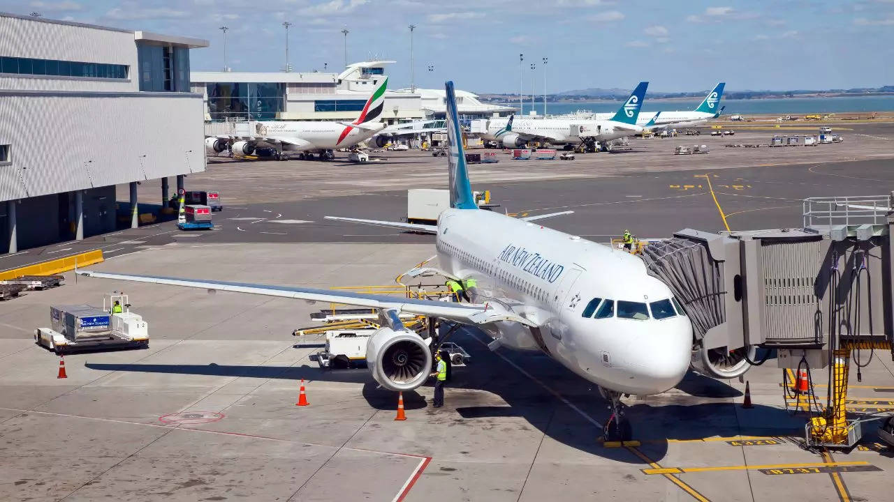 A periodical Air New Zealand survey is weighing passengers before boarding flights | Image via Canva Pro