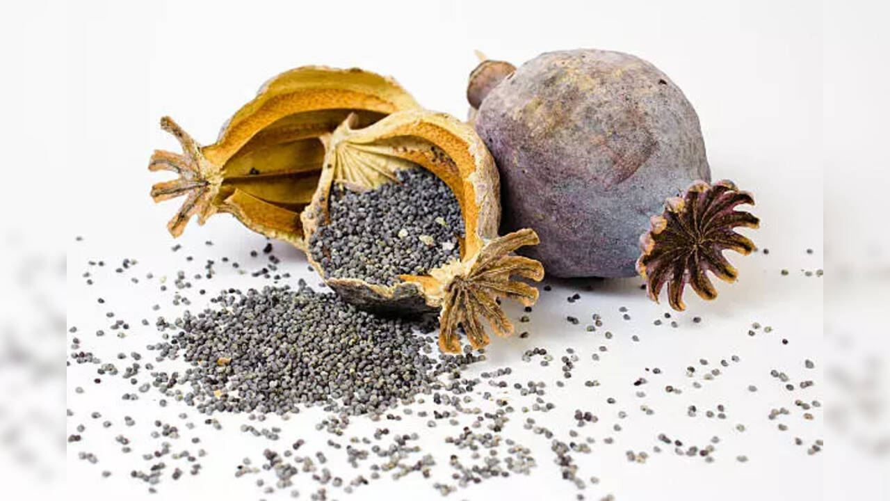 Poppy Seeds Know Health Benefits Of This Culinary Powerhouse That