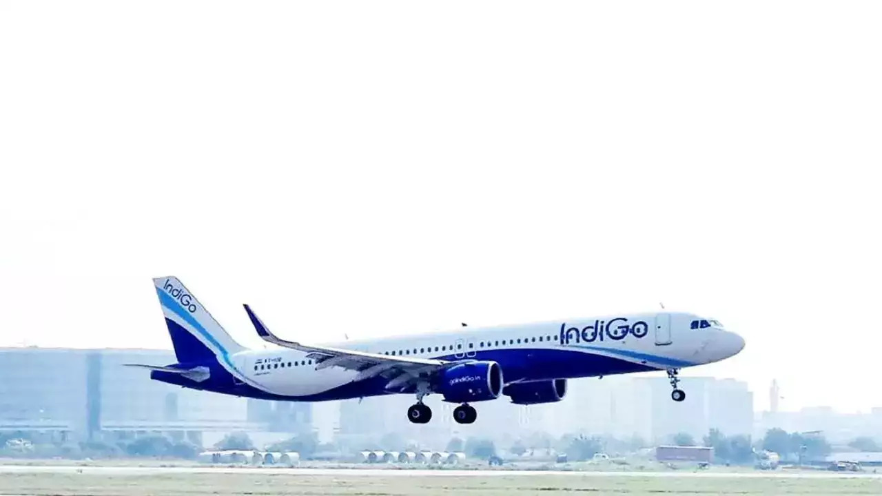 indigo flight