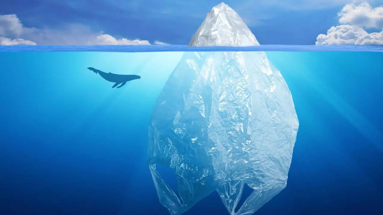 Petition · Ban Plastic in India - India · Change.org