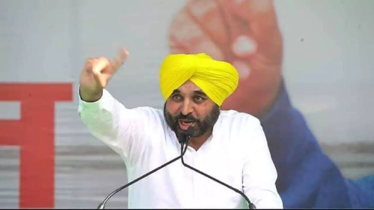 Punjab CM Bhagwant Mann Says No To Affiliation Of Haryana Colleges With Panjab University