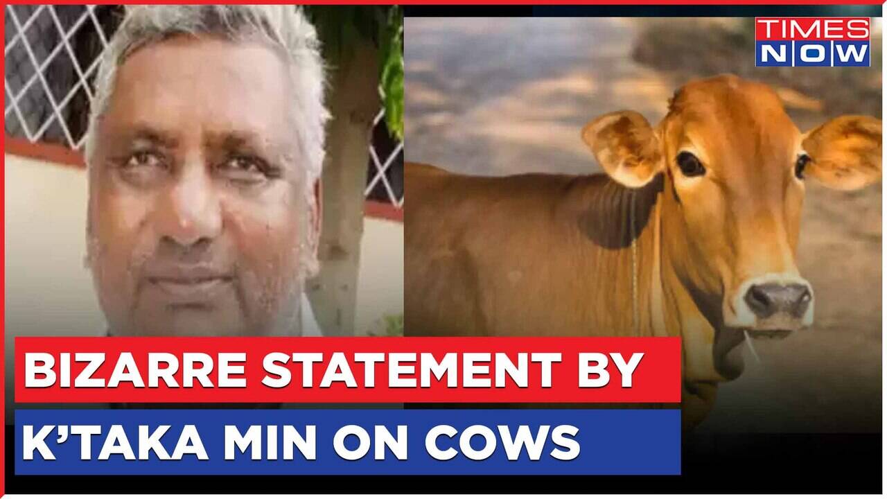 Bizarre Statement By Karnataka Minister K Venkatesh; Says 'What's Wrong