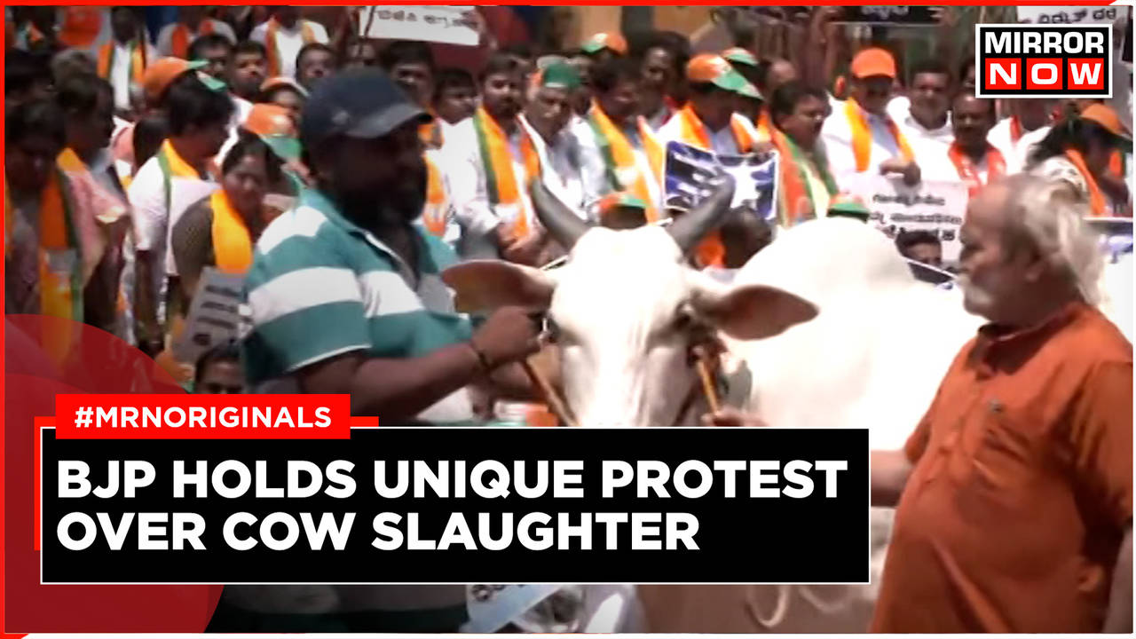 BJP Workers Protest With Cows In Bengaluru Against Animal Husbandry ...