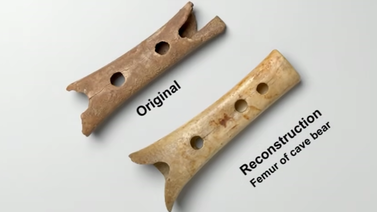 The Neanderthal Flute