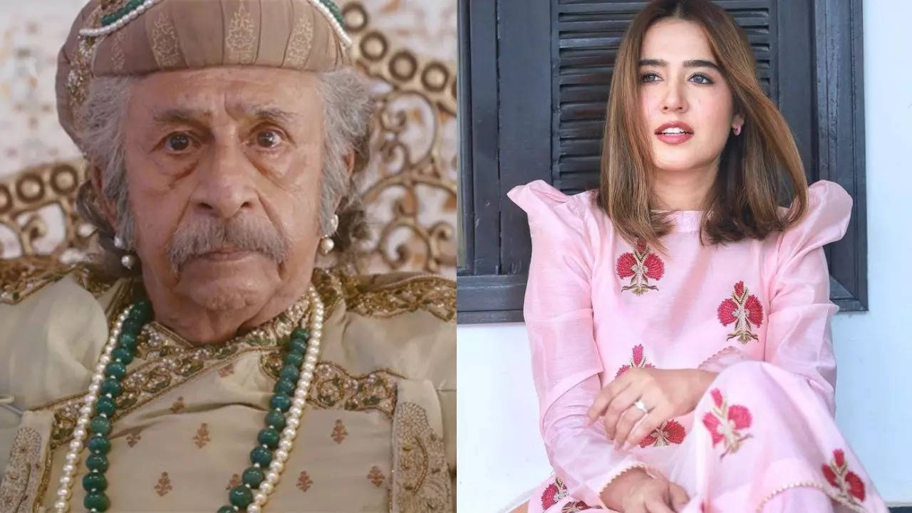 Pakistani Actress Mansha Pasha REACTS To Naseeruddin Shah's Remark About Sindhi. Writes 'As A Proud...'