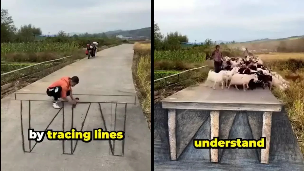 A viral video claims that an optical illusion drawn on a street drove goats into a pasture | Screenshot: @rex197878/Twitter