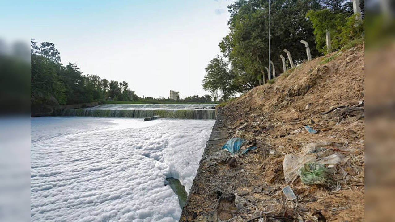 Bengaluru lake foam