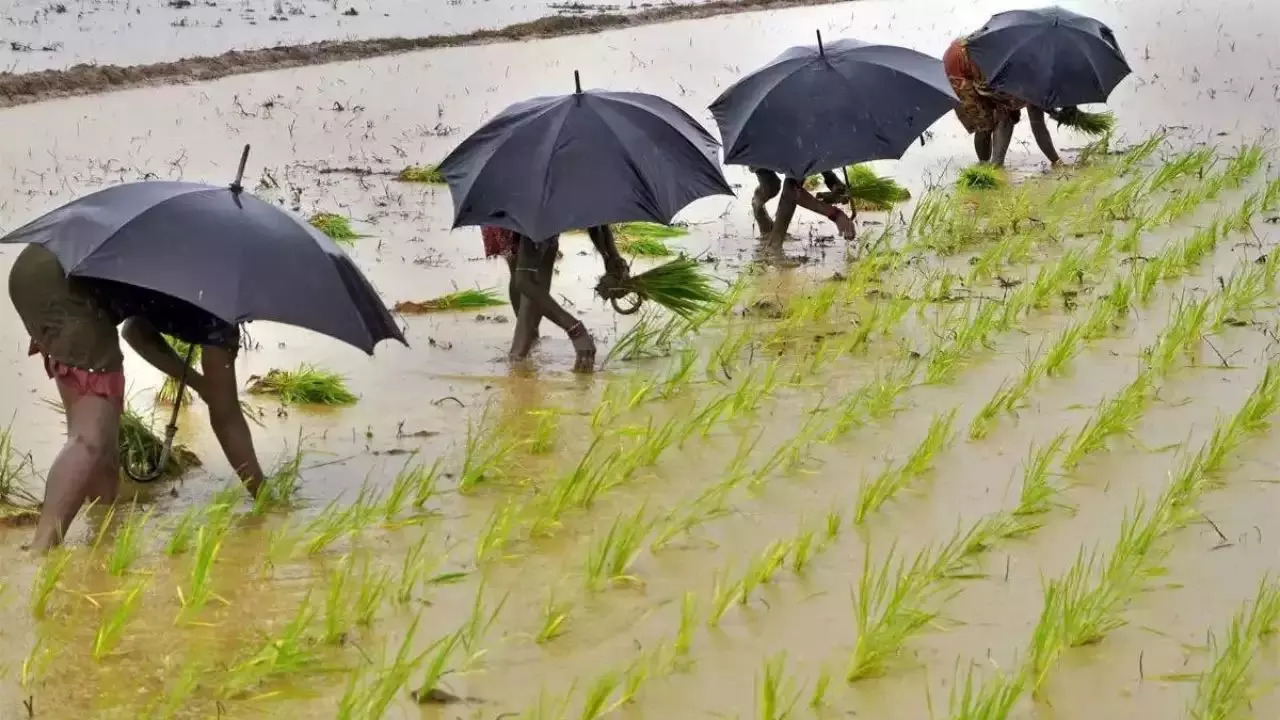 Monsoon in Kerala: Check IMD's latest update on arrival of Southwest Monsoon rains in India