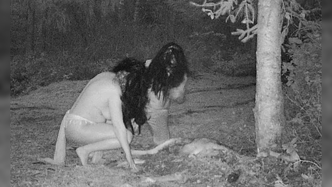 Two witches caught eating deer carcass