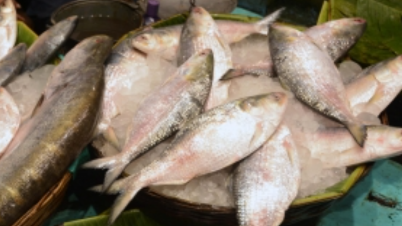 Ban of imported fish