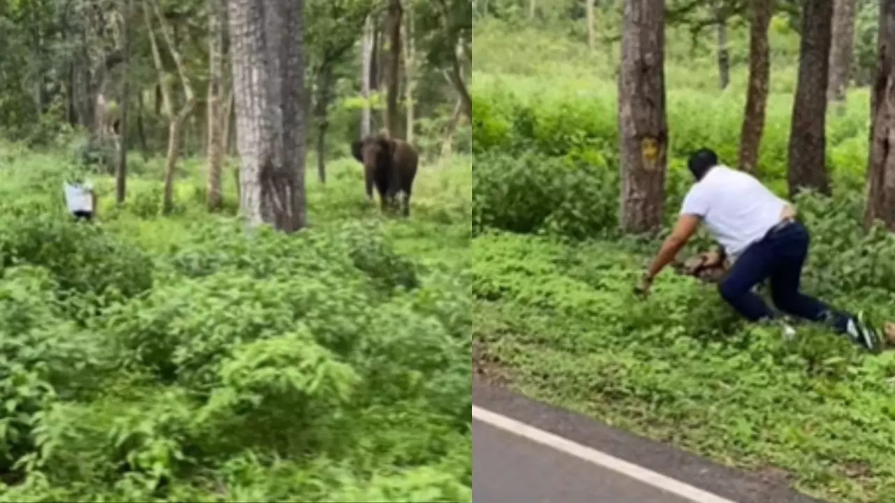 Viral Video | Man Runs For His Life After Elephant Chases Him Out Of A ...
