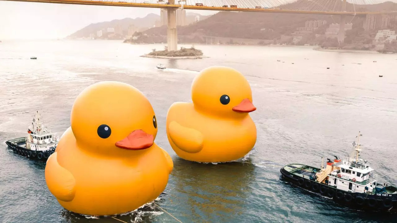 The giant rubber ducks returned to Hong Kong waters 10 years after a single one duck debuted | Credit: AllRightsReserved