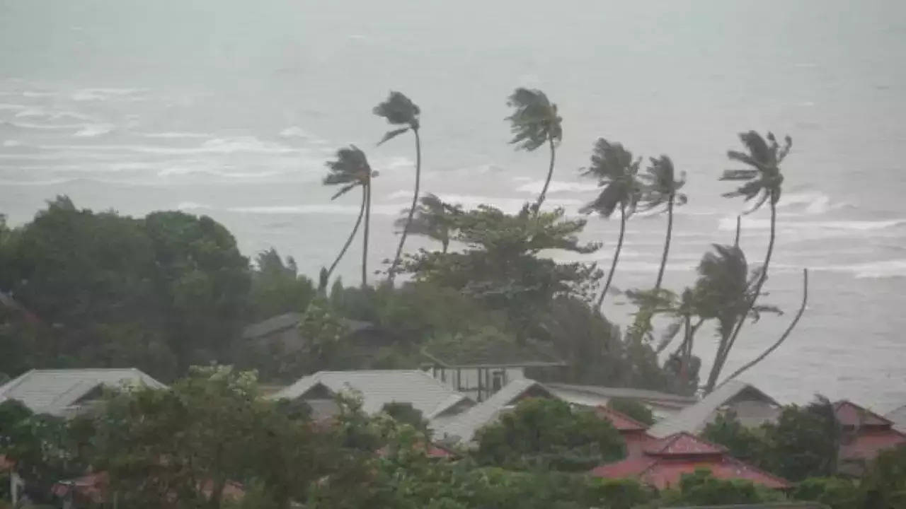 cyclone beach.