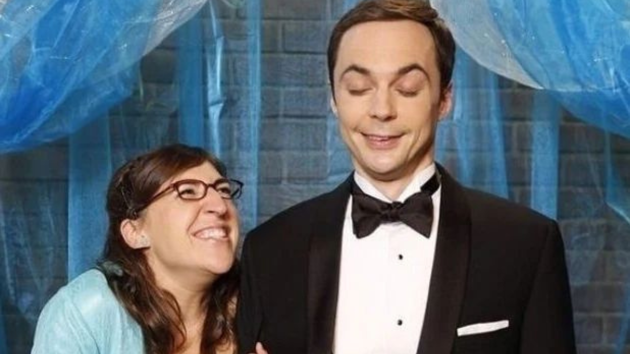 Expert Answers Why It Is Necessary To Draft A Relationship Agreement Like Sheldon Cooper