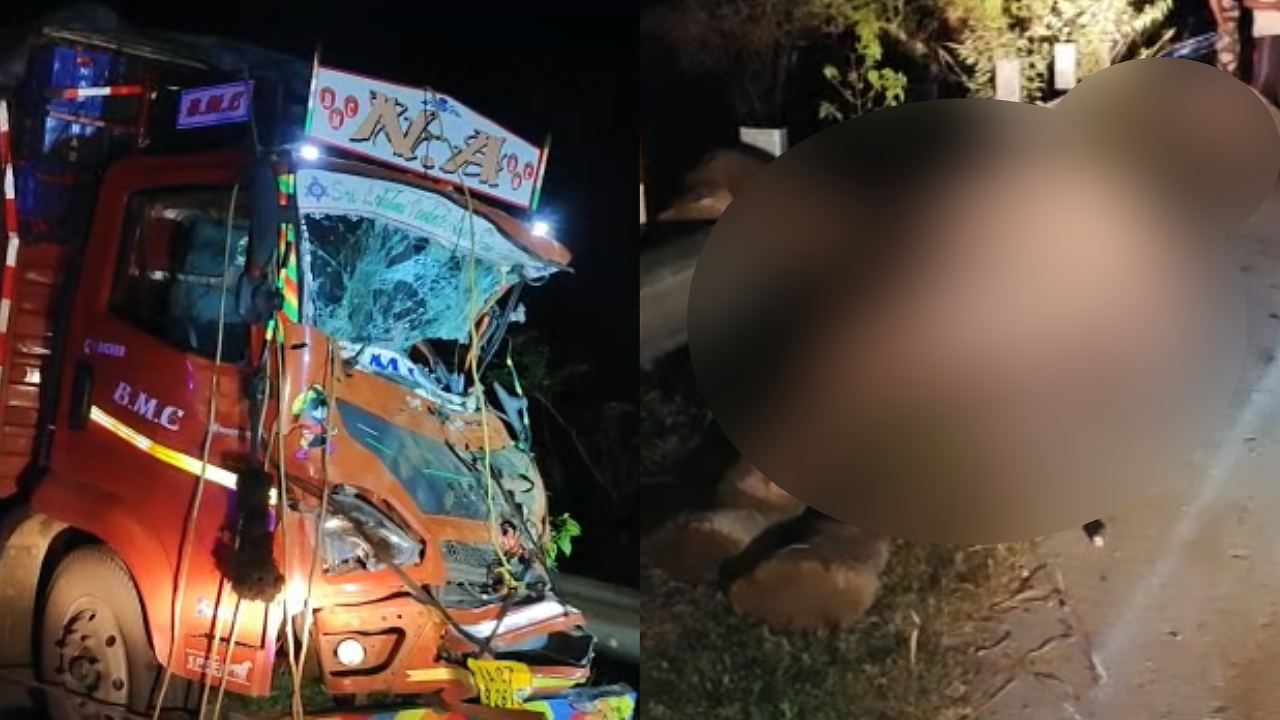 Andhra Pradesh: 3 Elephants Dead After Truck Rams Into Them In Chittor - Vimarsana News