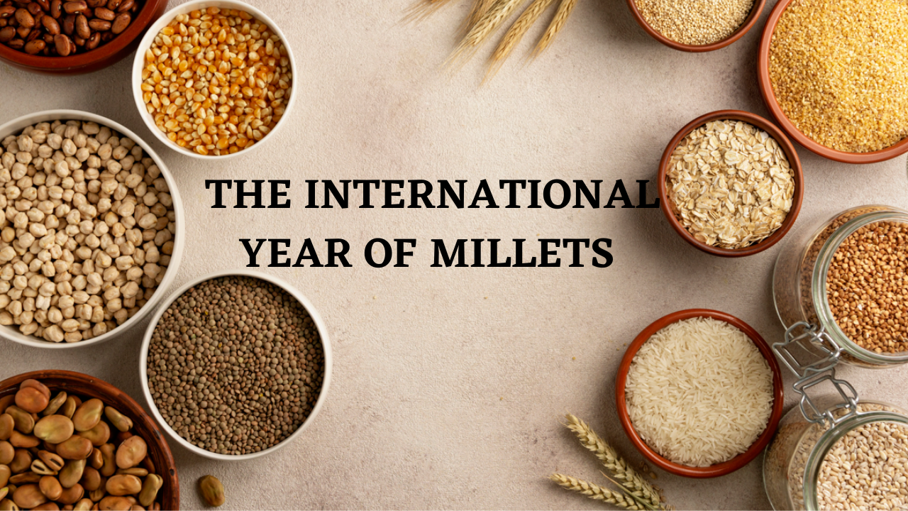 The International Year Of Millets. Pic Credit: Freepik