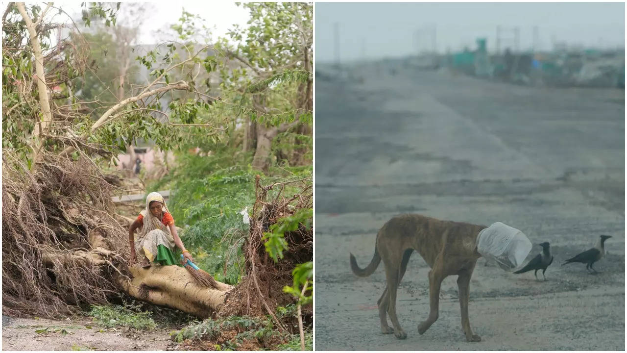 cyclone biaprjoy in gujarat - AP