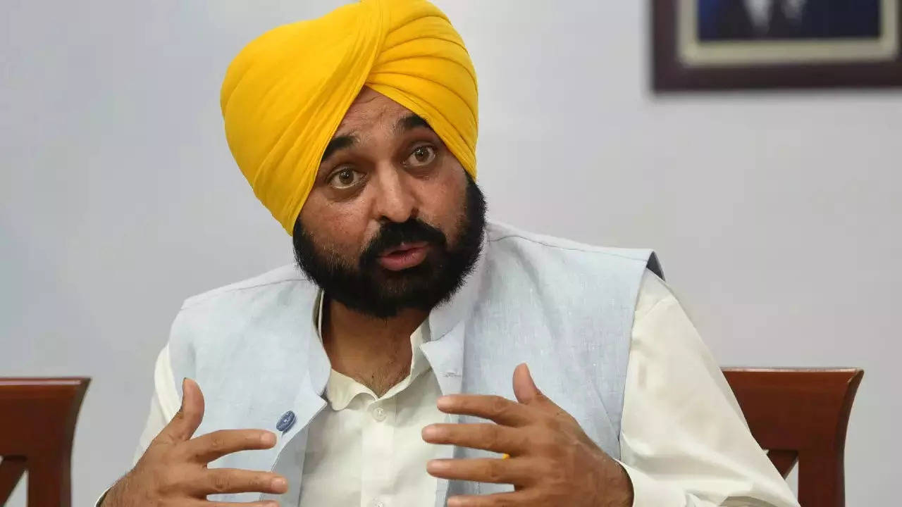 Bhagwant Mann Speaks On Allegations Of 'Drinking Day And Night'