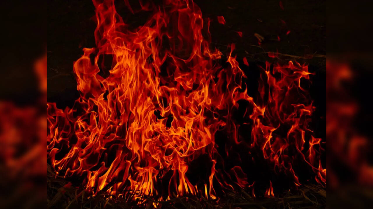 Odisha: Fire Breaks Out At Bar In Bhubaneswar; No Reports Of Casualty - Vimarsana News