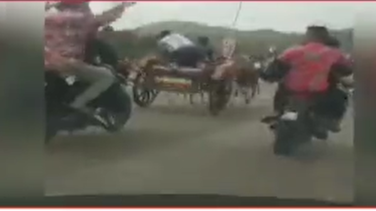 Horse-cart race in Mumbai.