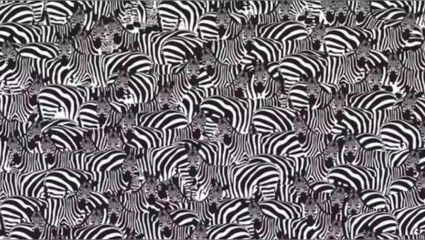 Optical illusion There is a piano hidden in the image. Can you find it in 10 seconds?