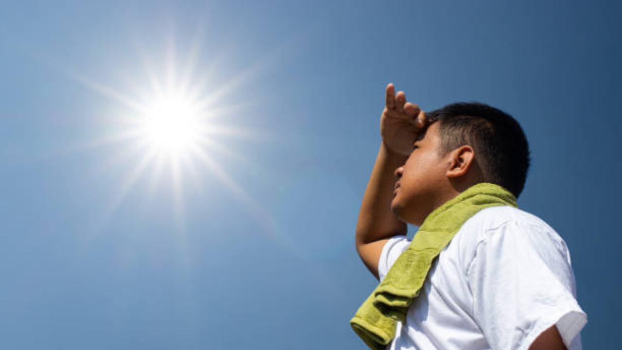 Summer Nightmare: Protect Yourself from Heatstroke with These 5 Crucial Lifestyle Changes - Vimarsana News